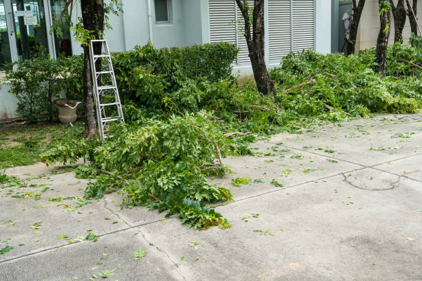 Grass Overseeding